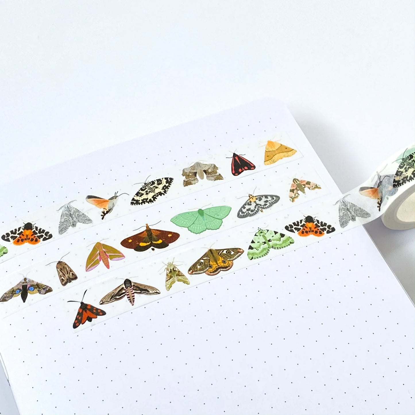 Washi Tape - British Moths