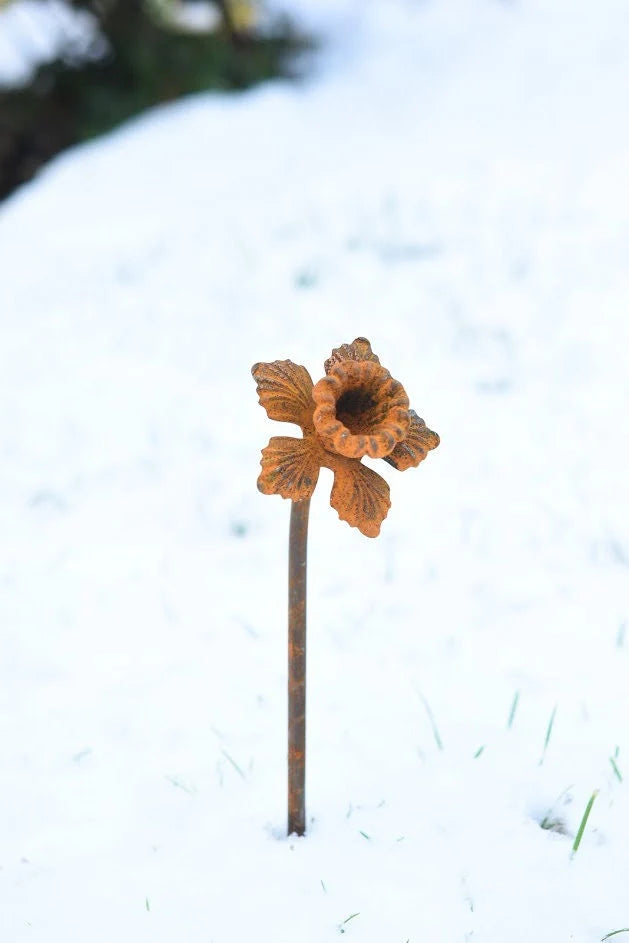 Daffodil Garden Sculpture - Rusty Metal Garden Flower - THE BRISTOL ARTISAN