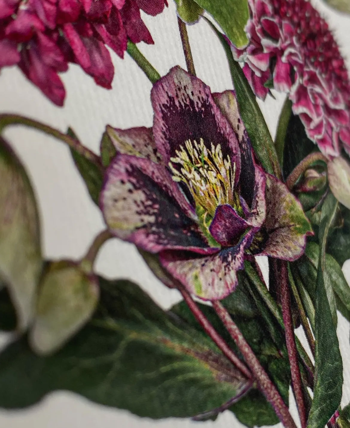 Posy of Hellebore and Scabiosa Greeting Card