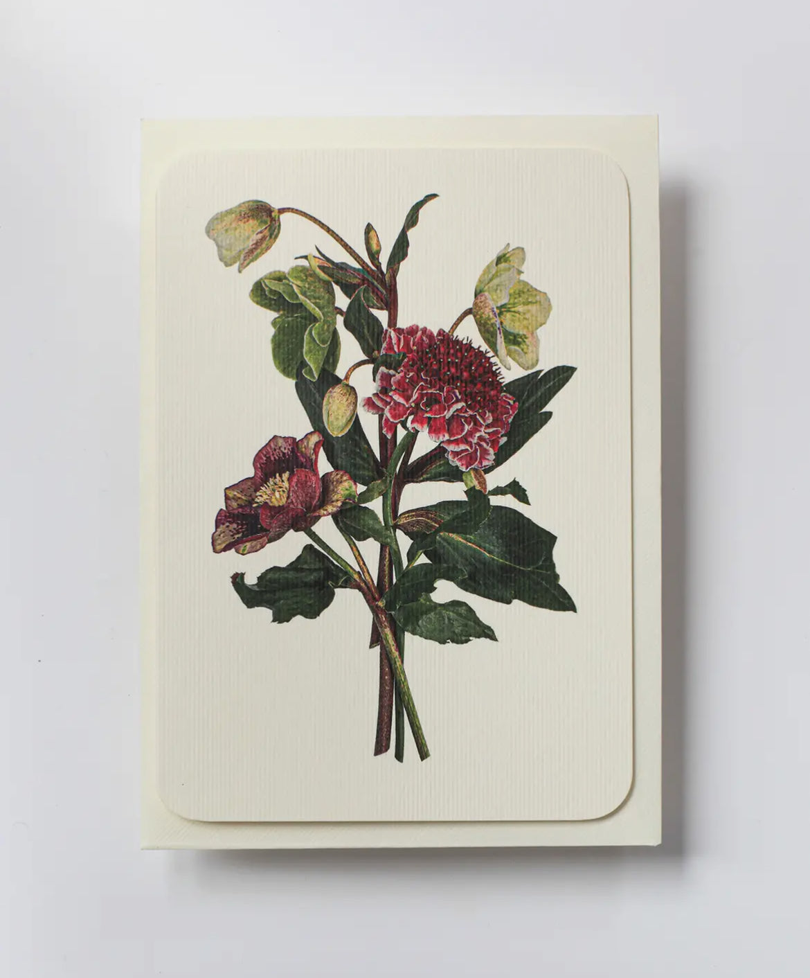 Posy of Hellebore and Scabiosa Greeting Card