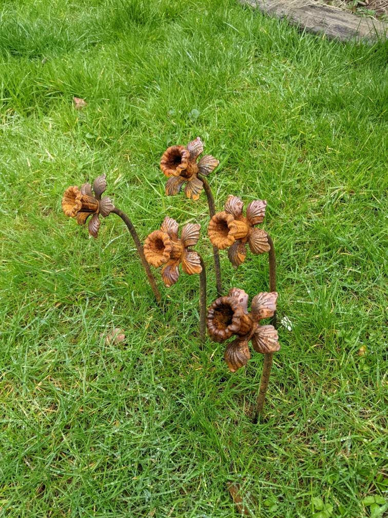 Daffodil Garden Sculpture - Rusty Metal Garden Flower - THE BRISTOL ARTISAN